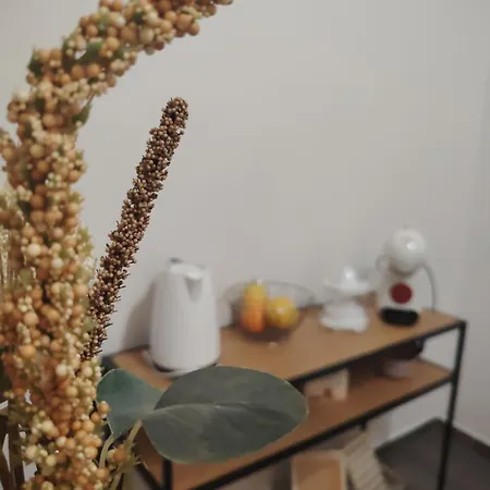Apartman Hric -50M Od Plaze- Mali Lošinj Buitenkant foto